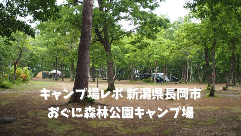【キャンプ場レポ】おぐに森林公園キャンプ場│新潟県長岡市