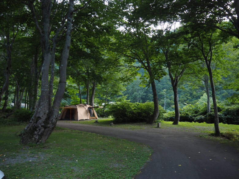 標高が高ければ朝晩は寒いくらい