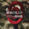 キャンプで必須のパワー森林香は本当に効果があるの？【最強の虫よけ】