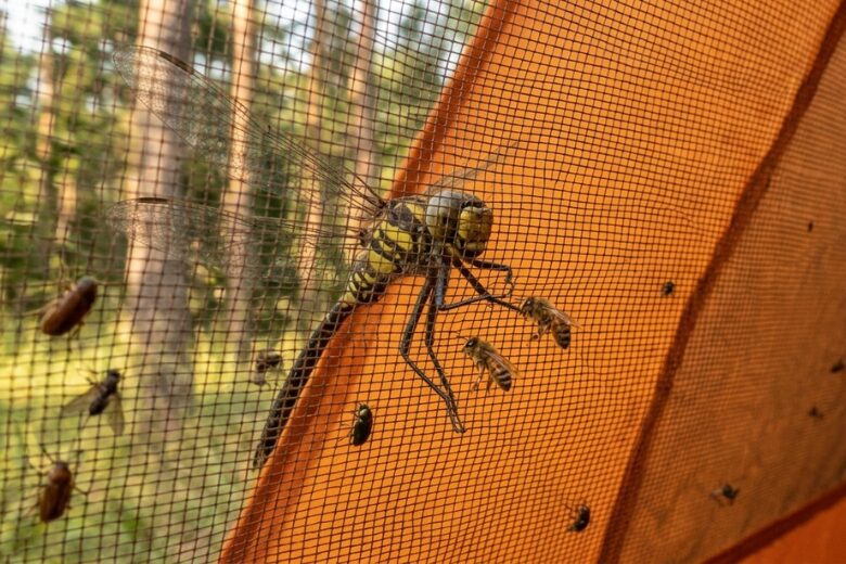 ダイソーおにやんま君の効果は不透明