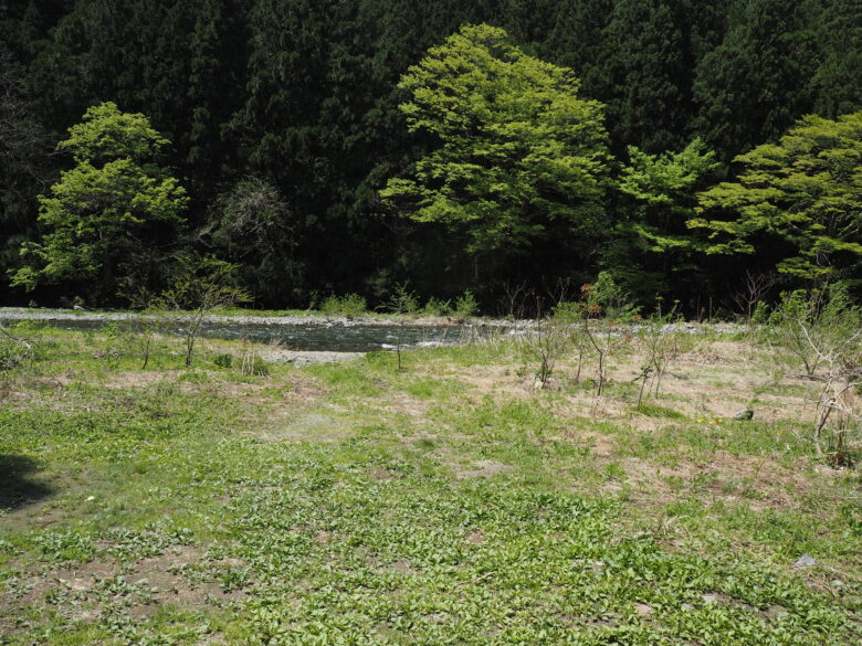 開けていて気持ちい
