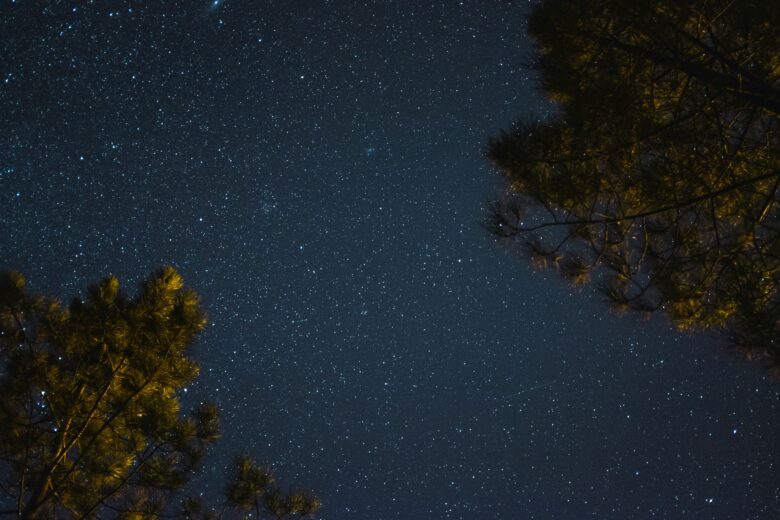 キャンプで星空観察