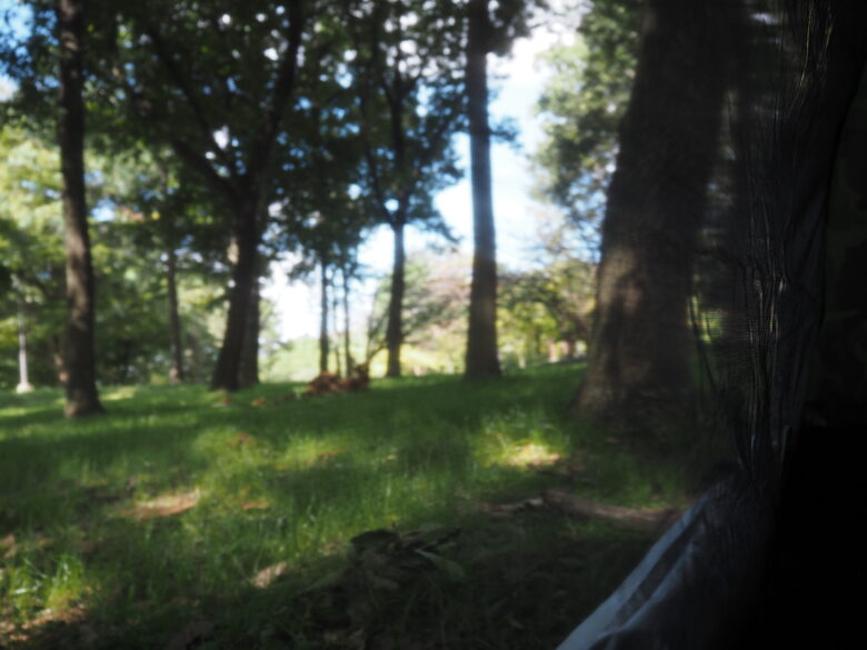 出入口はメッシュにできます