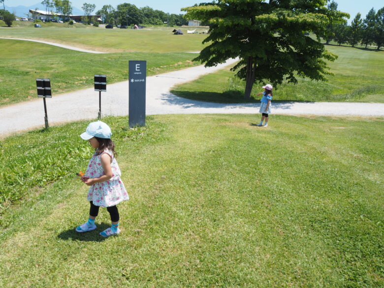 子どもが芝生サイトの上で遊んでいる情景